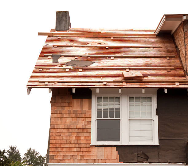 Best Storm Damage Siding Repair  in Independence, KS